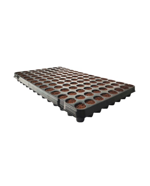 Plugin Pro 104 C ( 7 trays per box)