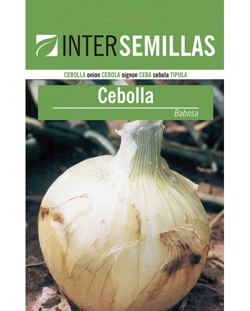 Cebolla Babosa 7g