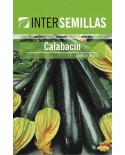 Calabacin Bellleza Negra