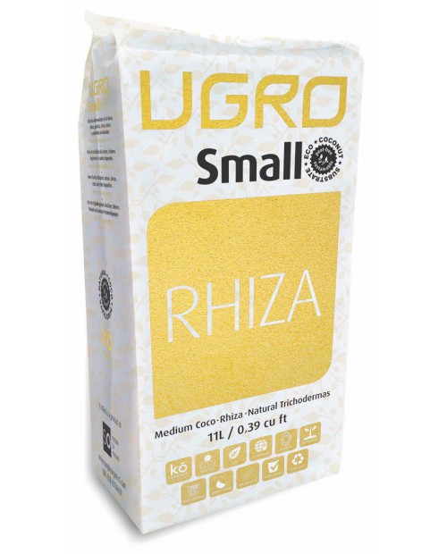 Small Rhiza 
