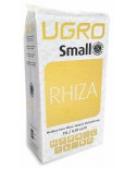 Small Rhiza 