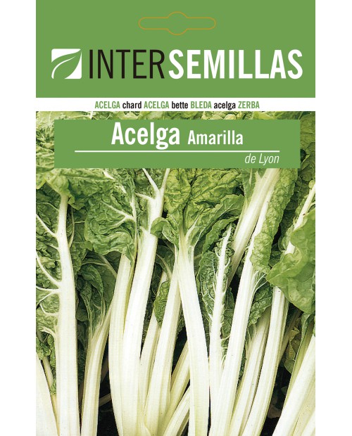 Acelga amarilla de Lyon 10g