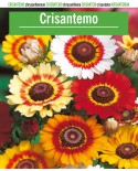 Crisantemo