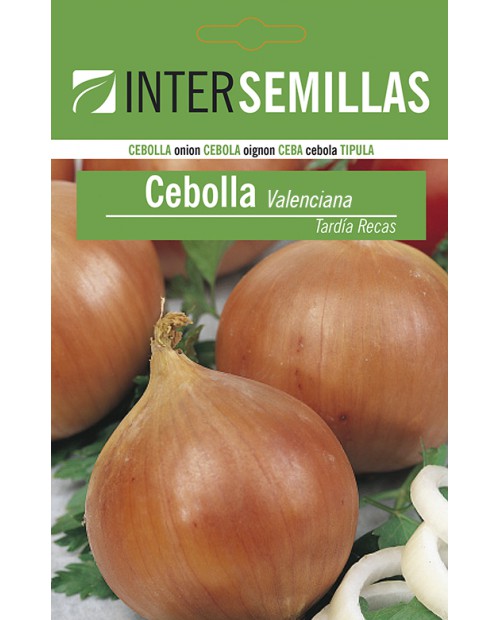 Cebolla (valenciana tardia) Eco