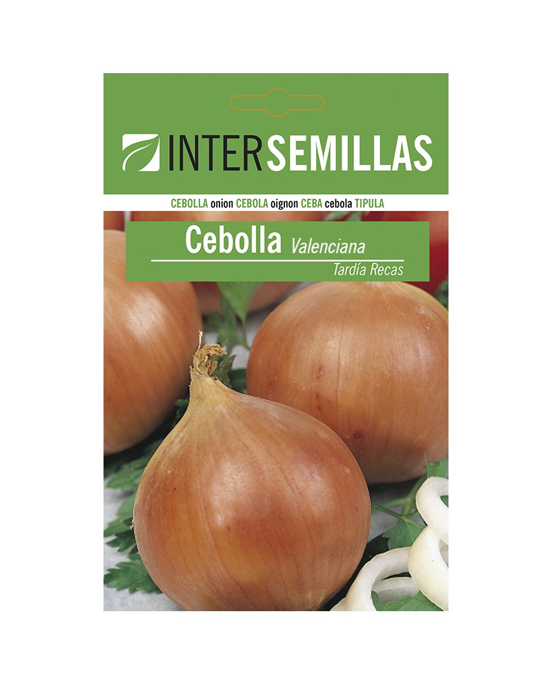 Cebolla (valenciana tardia) Eco