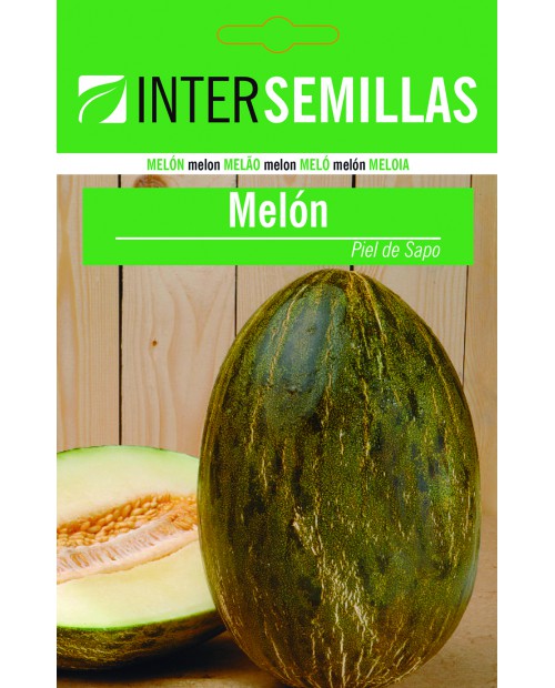 Melón Piel de Sapo