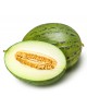 Santa Claus Melon