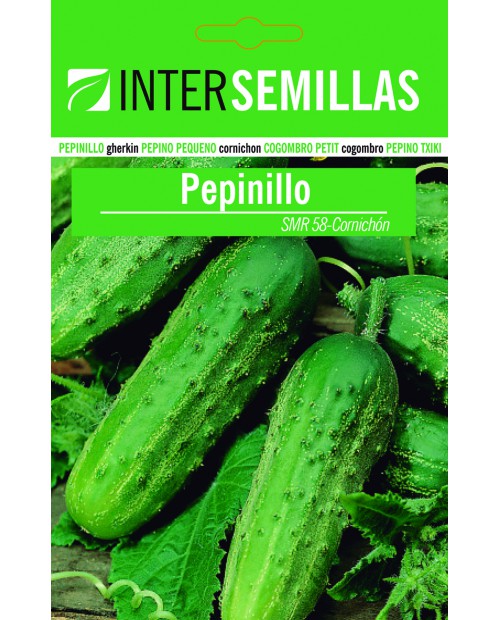 Pepinillo Cornichon de Paris