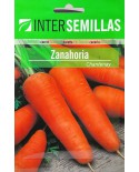 Zanahoria Chantenay 10g