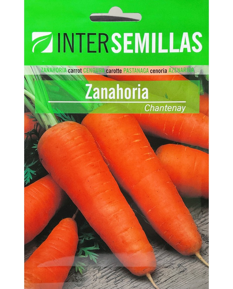 Zanahoria Chantenay 10g