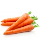 Red Heart Chantenay Carrot