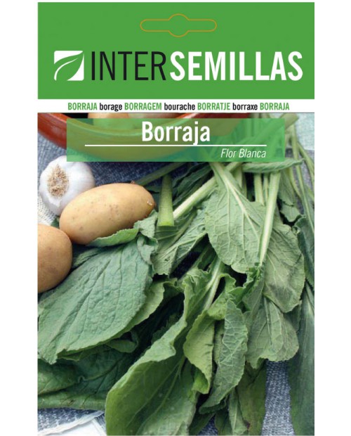 Borraja Flor Blanca 10g