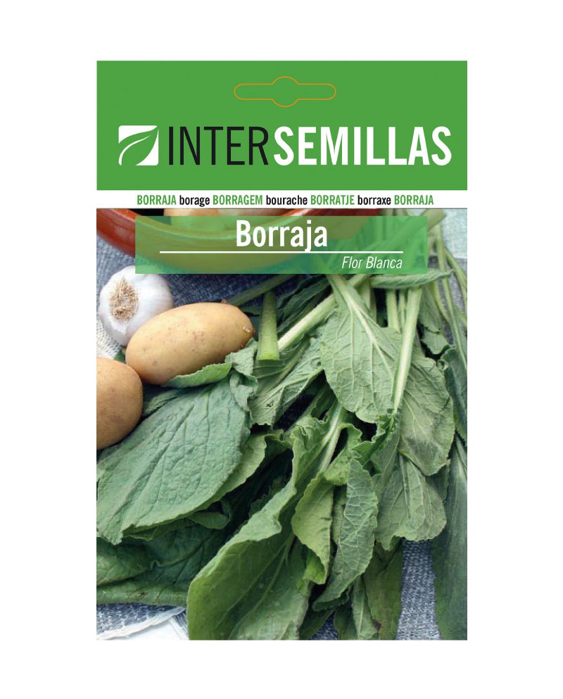 Borraja Flor Blanca 10g