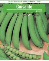 Guisante Lincon
