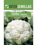 Snowball Cauliflower