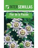 Flor de la Pasión