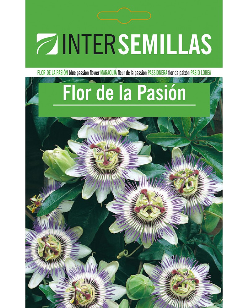 Flor de la Pasión