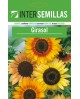 Girasol