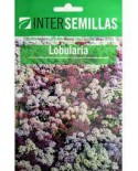 Lobularia Mix