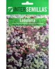 Lobularia Mix