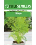 Fennel