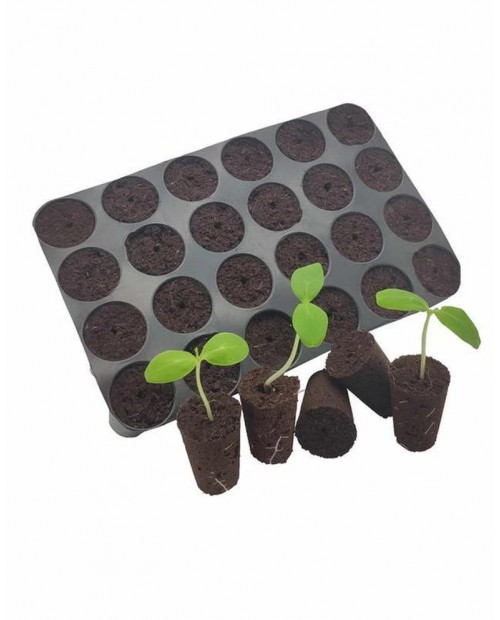 Seeds tray 24 plugs