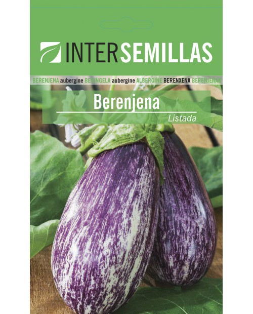 Listada Aubergine