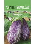 Listada Aubergine