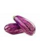 Listada Aubergine