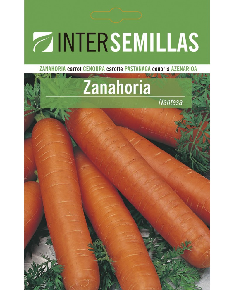 Nantesa Carrot