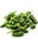 Padron Pepper