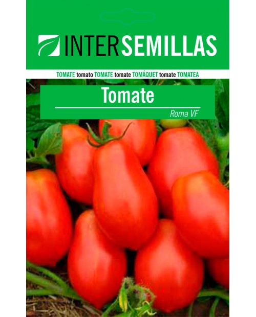 Tomate Roma VF