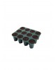 Display box seedling tray 12 plug ( 12 units/box)