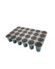 Display box seedling tray 24 plugs (6 trays/display)