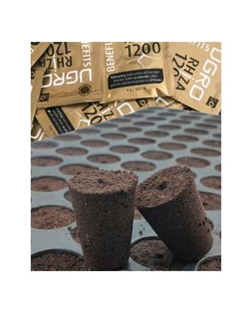 Plugin Pro 104 BIO ( 8 trays per box)
