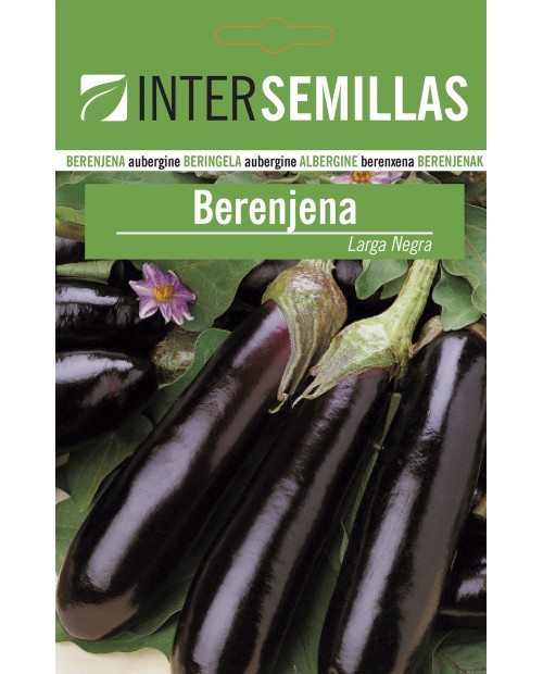 Berenjena Larga Negra