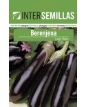 Long Black Aubergine