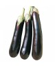 Long Black Aubergine