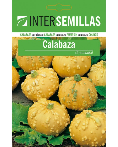 Calabaza ornamental 1g