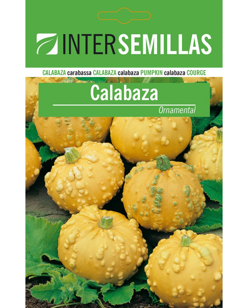 Calabaza ornamental 1g