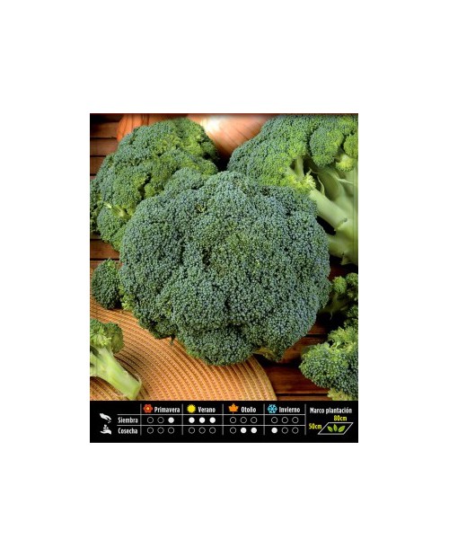 Brócoli Calabrese 8g