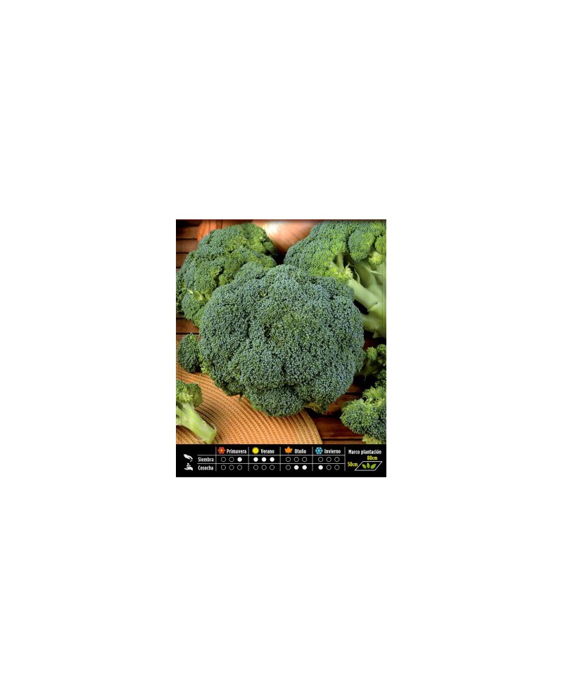 Brócoli Calabrese 8g