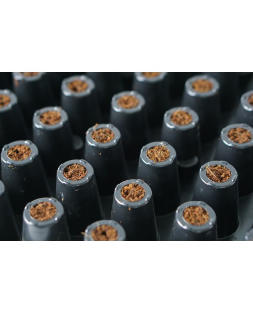 Plugin Pro 104 C ( 8 trays per box)