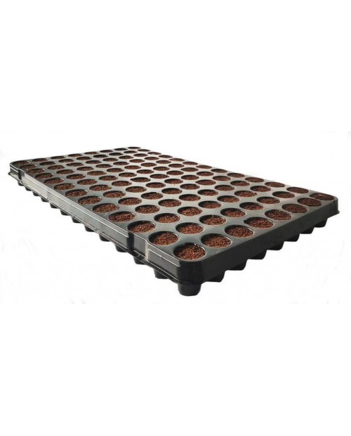 Plugin Pro 104 C ( 8 trays per box)