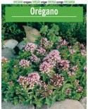 Oregano